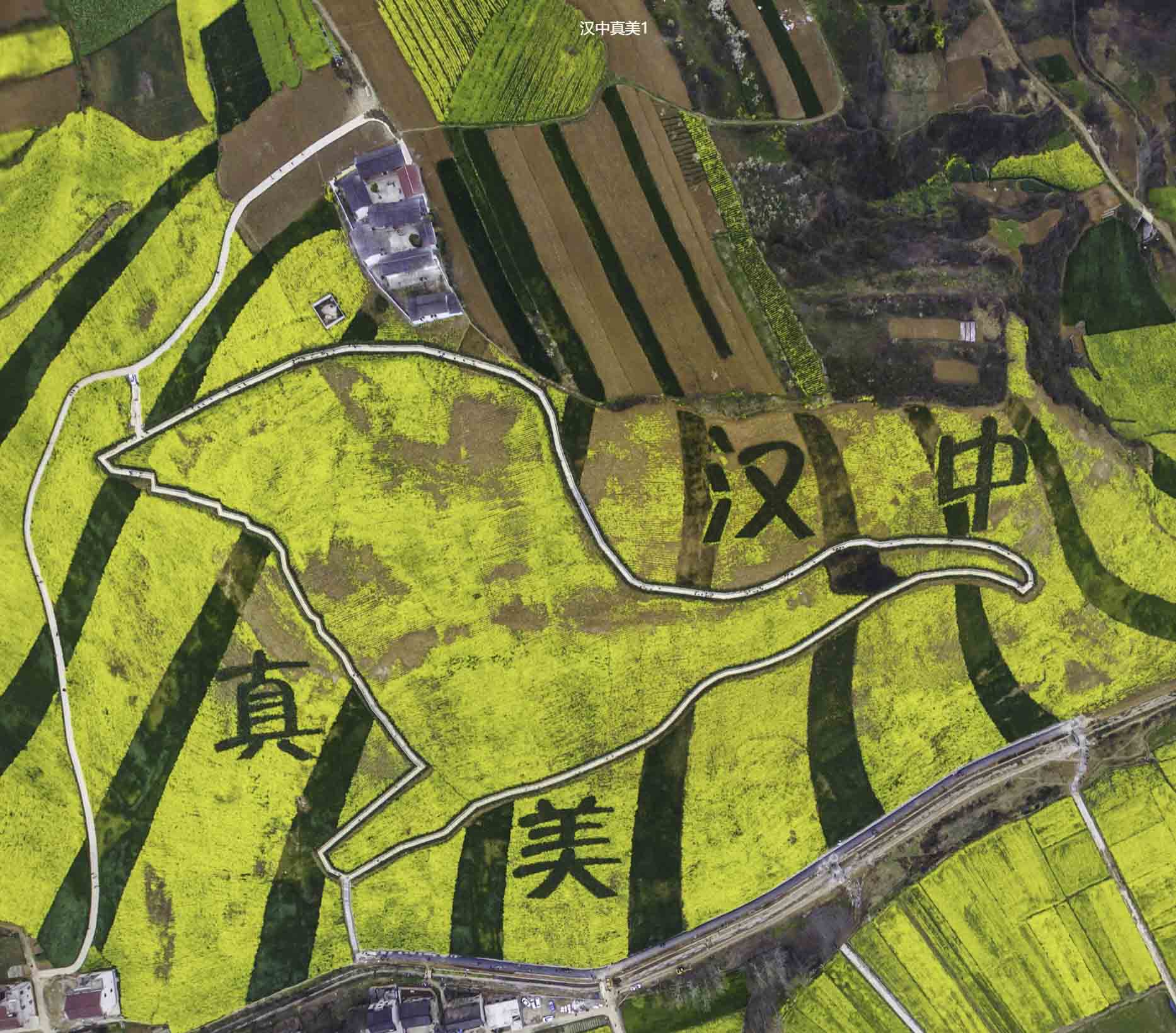 甘肃VR全景拍摄中的三维建模艺术：从现实到虚拟的再现
